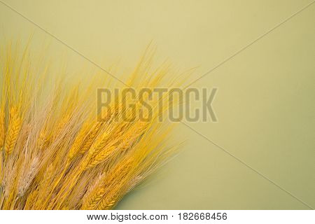 Spikelets On Background