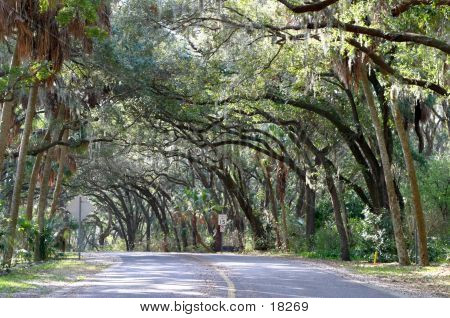 Safety Harbor