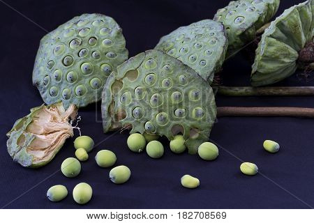 Lotus seed pod and lotus seeds on table.