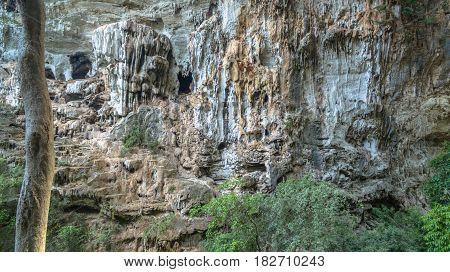 aerial photography above amazing cave. Tham Than Lod Yai is the big cave and have one hole on the top of the cave. it is a short cave there have waterfall pass inside through to another cave