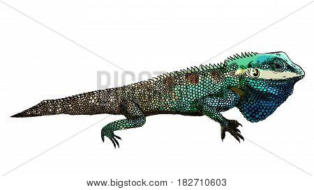 Decorative chameleon artwork zentangle inspired , patches and stickers. Tropical lizard and monstera leaves. Decorative fancywork elements and fabric design