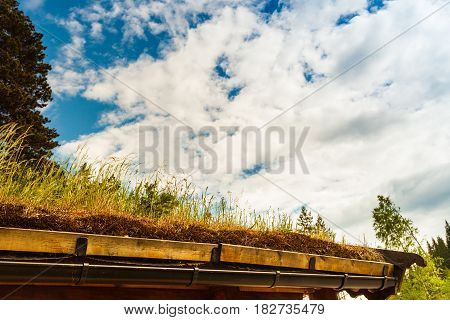 Norwegian typical country house with grass on the roof
