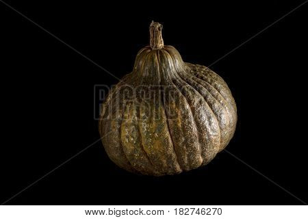 Single Whole Pumpkin