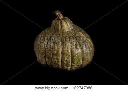 Single Whole Pumpkin