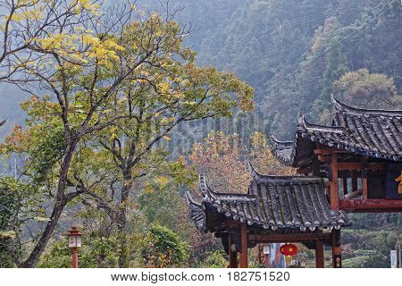 Landscape in the Chinese park made in autumn. Pagoda and trees are depicted.
