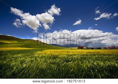 Summer mountain landscape with field and sky overcast. People in the distance.