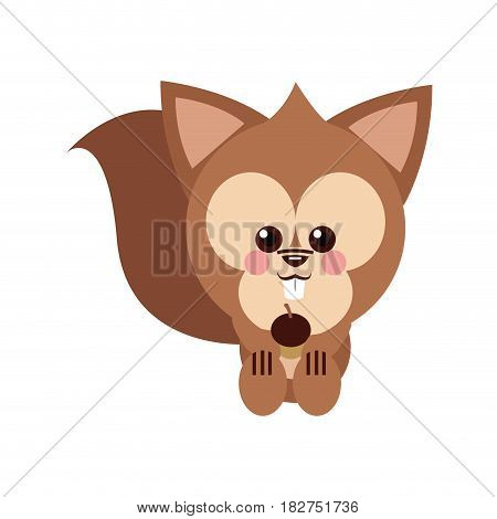 Squirrel cartoon icon. Animal cute adorable and creature theme. Isolated design. Vector illustration
