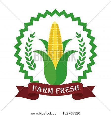 farm fresh corn liifestyle healthy sticker vector illustration eps 10
