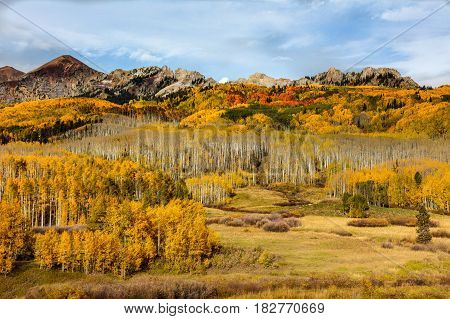 Autumn is in full swing on Kebler Pass near Crested Butte Colorado.