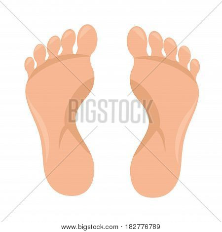 human foot plant icon vector illustration design