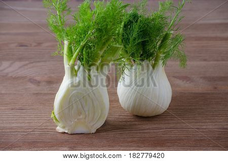 fresh fennel bulb and a half on dark wooden background
