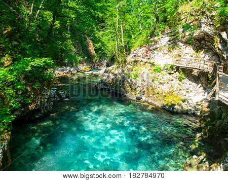 Pure blue water of Radovna river in Vintgar Gorge. Natural waterfalls, pools and rapids and tourist wooden path. Slovenia, Europe.