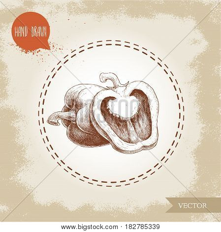 Hand drawn illustration of bell pepper and half pepper. Sketch style vector capsicums. Health eco food fresh farm drawing.