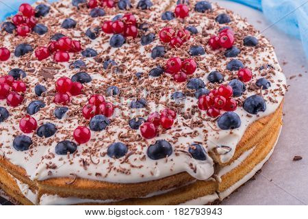 A gentle biscuit with coffee cream and fresh berries, red currant and blueberry