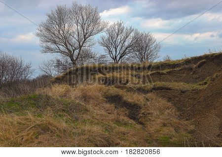 The slope of a ravine is showered with ledges in the form of a ladder. The slope is covered with an old, last year's grass, and from above trees against the background of the sky covered with clouds.