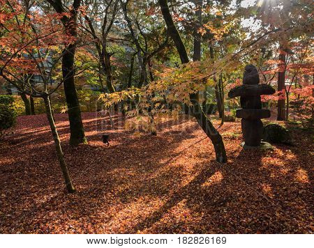 Autumn Garden With Red Maple Leaves On Ground At Eikando Or Zenrinji Temple In Kyoto, Japan. Eikando