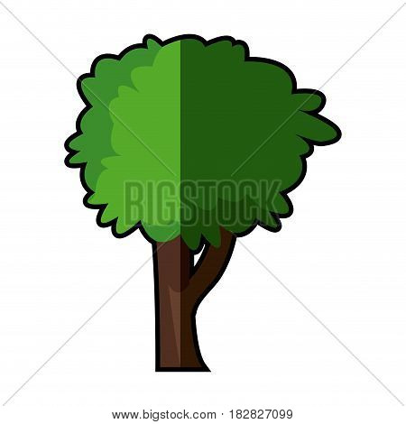 tree plant nature ecology shadow vector illustration eps 10