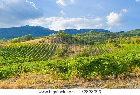 Shapes and colors of Crimean mountains in early fall season.