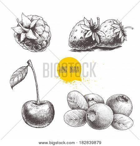 Hand drawn sketch style berries set isolated on white background. Raspberry strawberry cherry and blueberry.Eco berries vector illustration.