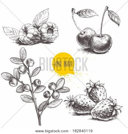Hand drawn sketch style berries set isolated on white background. Raspberry with leafs strawberries cherry and blueberries branch. Healthy fruit and berry vector illustration.