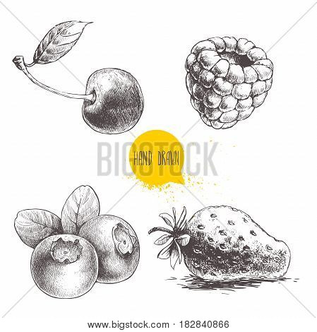 Hand drawn sketch style berries setisolated on white background. Raspberry strawberry cherry and blueberry. Healthy fruit and berry vector illustration.