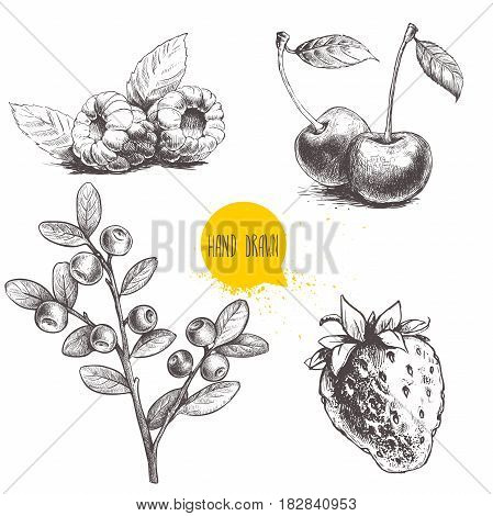 Hand drawn sketch style berries setisolated on white background. Raspberry with leafs strawberries cherry and blueberries branch. Healthy fruit and berry vector illustration.