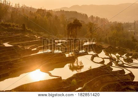Sunrise At Yuanyang Rice Terrace From Yuanyang Village, Yunnan Province, China