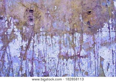 Aged Background With Peeling Paint. Cracked Paint On A Wooden Wall. Grunge Background. Old Scratched
