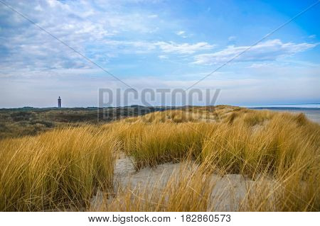 Sand dunes with dune grass at Northern Sea of Europe in Netherlands