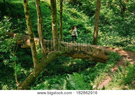 Batumi, Adjara, Georgia - May 27, 2016: Woman Tourist Is Standing On A Fallen Tulip Tree During Sightseeing Tour Of The Botanical Garden In Sunny Summer Day