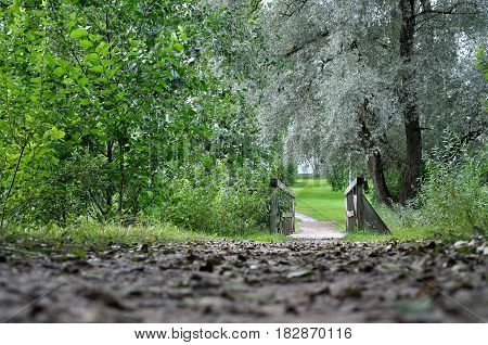 Trackway and wooden bridge in the park.