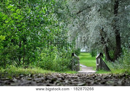 Trackway and wooden bridge in the park.