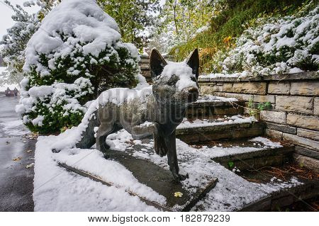 Switzerland - October 10 2016: The fox statue covered with snow in autumn on the way from Murren to Gimmelwald Switzerland