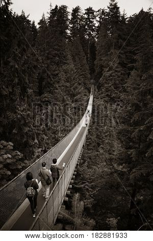 Capilano Suspension Bridge in Vancouver, Canada.