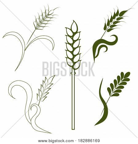 Stock vector rye, wheat logo elements, graphic design elements for product packing design stock vector illustration