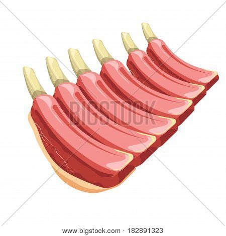 Vector illustration of the stack of uncooked ribs isolated on white.