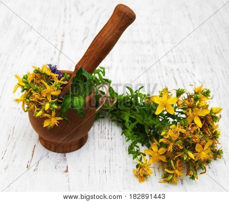 Tutsan Flowers  And Mortar