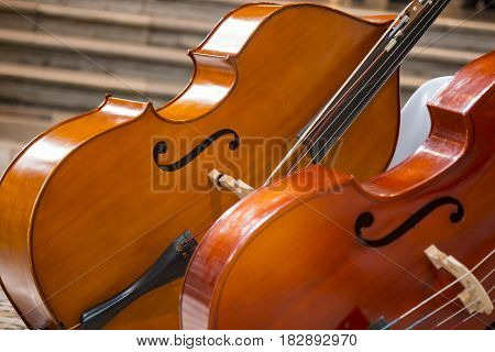 Close up of two cello. violoncello, violin