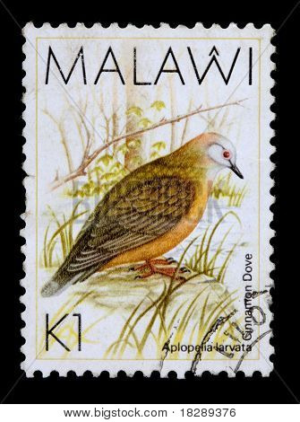 มาลาวี - เซอร์กา 1987:1-kwacha แสตมป์พิมพ์ในมาลาวีแสดงนกพิราบซินนาม่อน Aplopelia Larvata