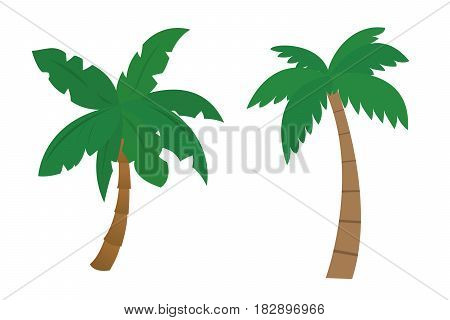 Set of cartoon palms with brown trunk and green leafs painted by flat design - vector illustration isolated on white background