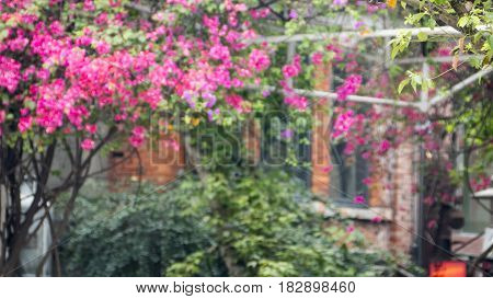 Monga, This Name Wanhua, The Birthplace Of Taipei City, The Oldest City Street In The Shade Hat Kitc