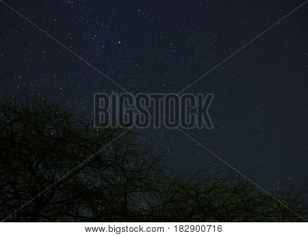Clouds Passing In The Moon Light By Over A Forest And On A Night Sky Full Of Stars