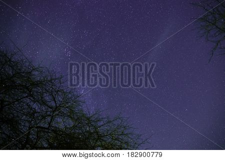 Clouds Passing In The Moon Light By Over A Forest And On A Night Sky Full Of Stars