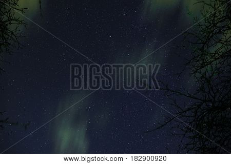 Clouds Passing In The Moon Light By Over A Forest And On A Night Sky Full Of Stars