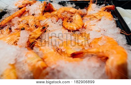 Supermarket stall with raw crevettes - fresh fish counter full with diverse - organic fish meat