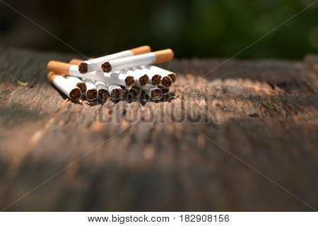 Tobacco cigarettes on wooden background with light shines on the tobacco cigarettes.