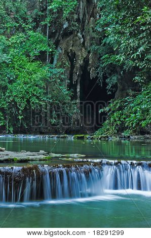 Stream in forest