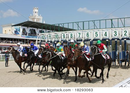 Horse Racing.