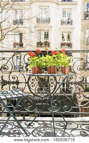 Springtime With Red Geraniums On A Paris Balcony