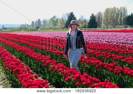 Pretty woman in tulip fields. Skagit Valley Tulip Festival. Mount Vernon. Seattle. WA. United States.